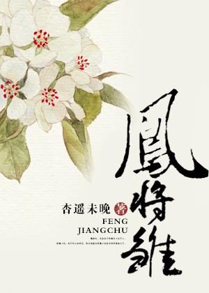 凤将雏体位正确图