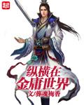 金庸武侠纵横洪荒卡夜阁