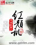 倾城红颜攻略