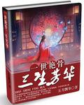 一世芳华古言