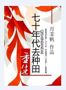 重生七十年代喜当娘全文阅读