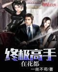 终极高手护花都市