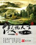 全球第一村为什么叫ss公司在第几章