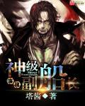 海贼王之神级副船长txt