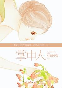 八轮是什么意思