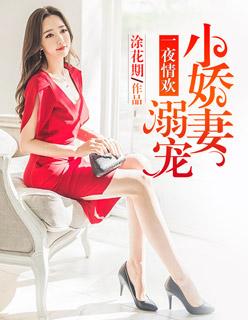 一夜情欢:溺宠小娇妻