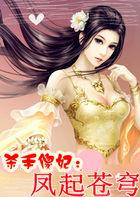 杀手傻妃:凤起苍穹