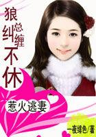 惹火逃妻:狼总纠缠不休